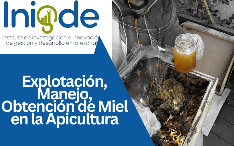 Explotación, Manejo, Obtención de Miel en la Apicultura